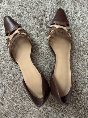 Women's Brown Pointed-Toe Heels with Woven Accent